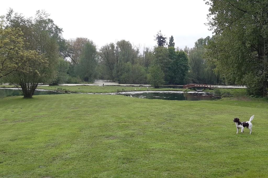 Adorable Maison D'Hotes Bordee D'Etangs Au Calme. Grandcourt  Luaran gambar